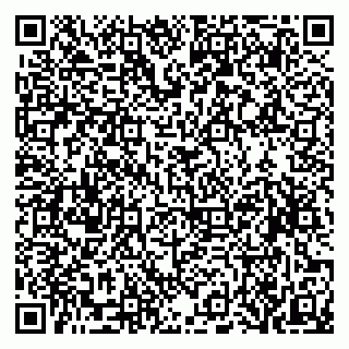 vCard 79519906300