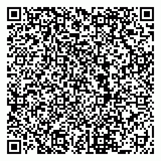 vCard 79519911601