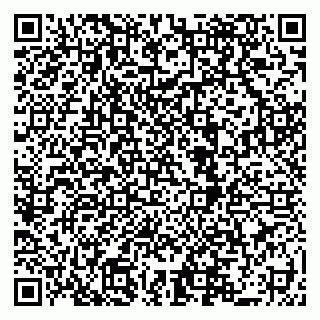 vCard 79519919410