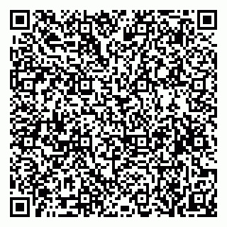 vCard 79519919413