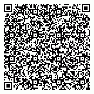 vCard 79519921731