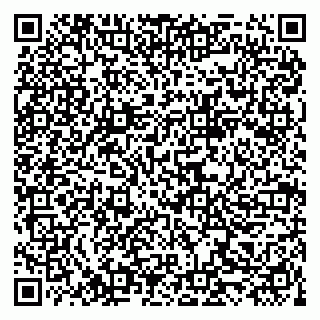 vCard 79519921875