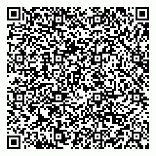 vCard 79519922087