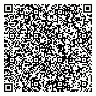 vCard 79519923381