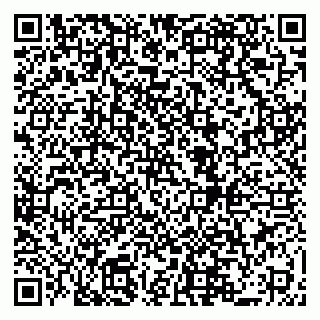 vCard 79519923801