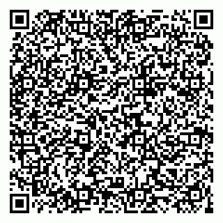 vCard 79519923873