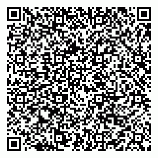 vCard 79519923920