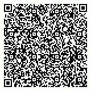 vCard 79519923931