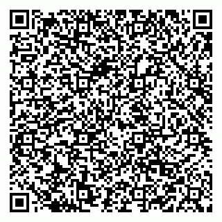 vCard 79519924005