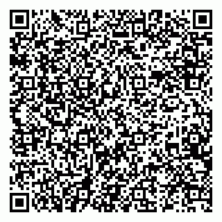 vCard 79519924100