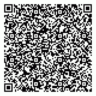 vCard 79519924131