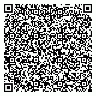 vCard 79519925101