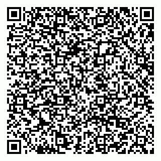 vCard 79519925187