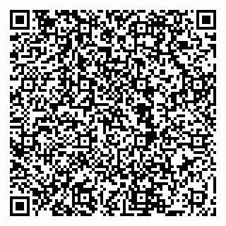 vCard 79519928703