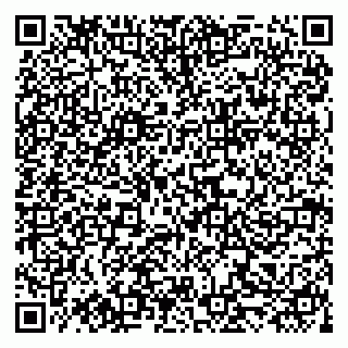 vCard 79519931211