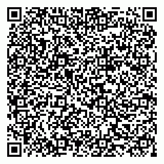 vCard 79519931275