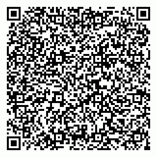 vCard 79519931355