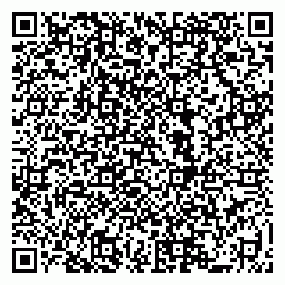 vCard 79519931369