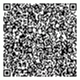 vCard 79519931374
