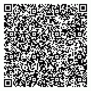 vCard 79519931376