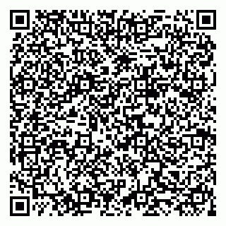 vCard 79519931378