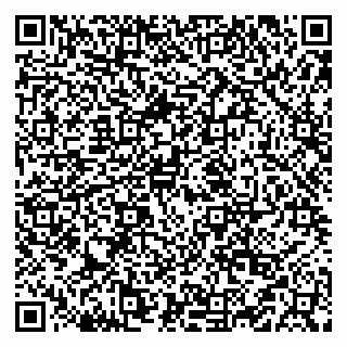 vCard 79519931381