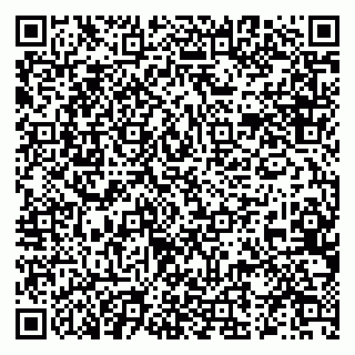 vCard 79519931384