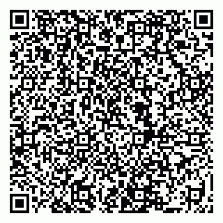 vCard 79519931385