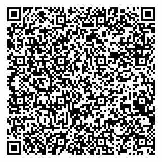 vCard 79519931400