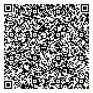 vCard 79519931401