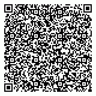 vCard 79519931421