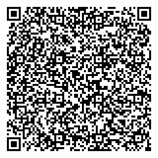 vCard 79519931425