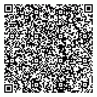 vCard 79519931451