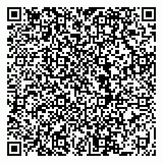 vCard 79519931473