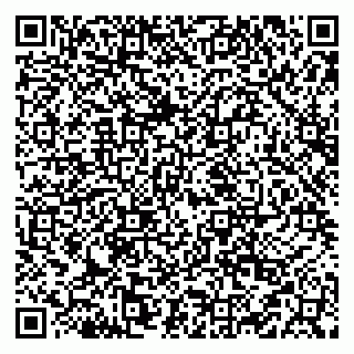 vCard 79519931477