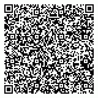 vCard 79519931487