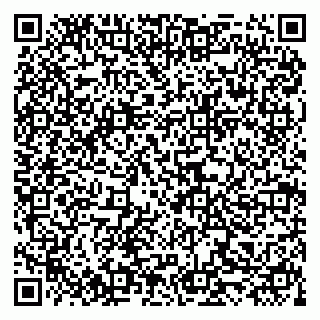vCard 79519931489