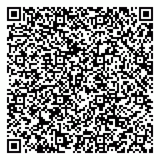 vCard 79519931497
