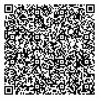 vCard 79519931503