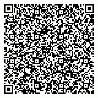 vCard 79519931509