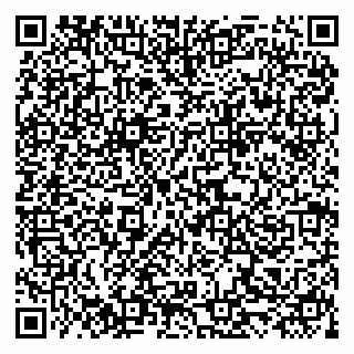 vCard 79519931541