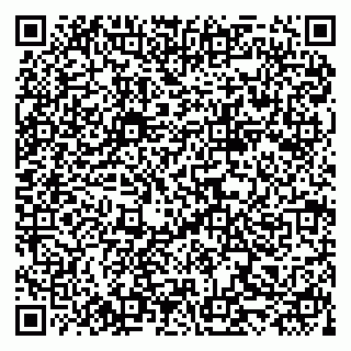 vCard 79519931579
