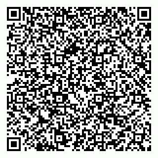 vCard 79519931582