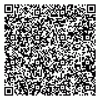 vCard 79519940010