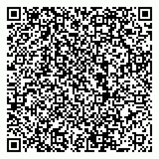 vCard 79519940013