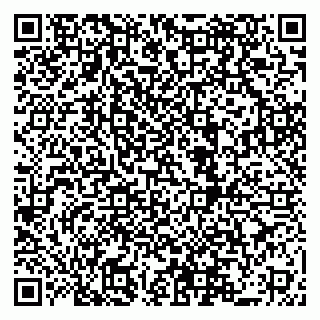 vCard 79519940014