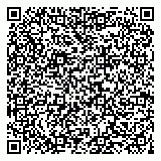 vCard 79519940015