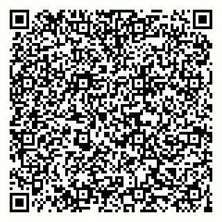vCard 79519940231