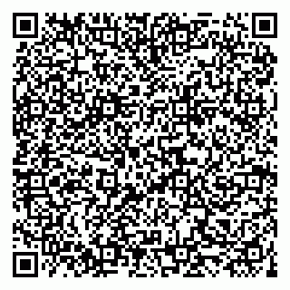 vCard 79519940251