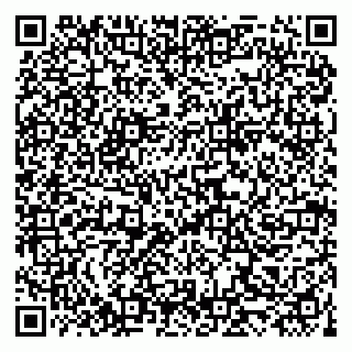 vCard 79519940255